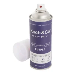 Floral Event Craft Spray Paint Purple (340g)