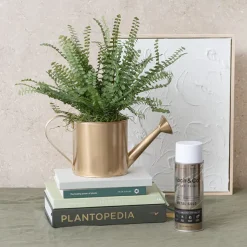 Floral Event Craft Spray Paint Metal Gold (340g)