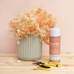 Floral Event Craft Spray Paint Blush Peach (340g)