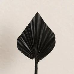 Floral Event Craft Spray Paint Matte Black (340g)