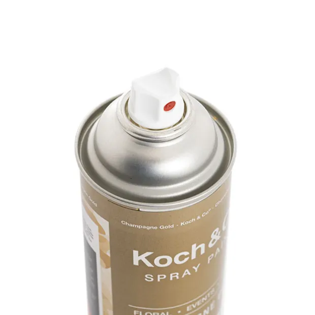 Floral Event Craft Spray Paint Metallic Champagne Gold 340g