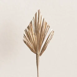 Floral Event Craft Spray Paint Metallic Champagne Gold 340g