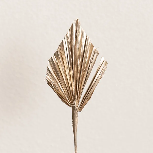 Floral Event Craft Spray Paint Metallic Champagne Gold 340g