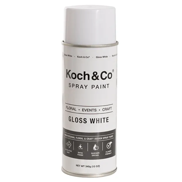 Floral Event Craft Spray Paint Gloss White (340g)