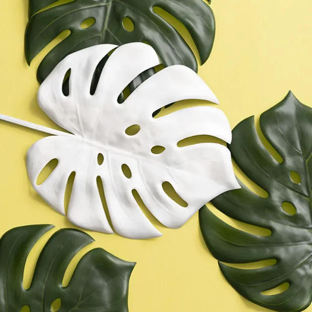 Floral Event Craft Spray Paint Gloss White (340g)