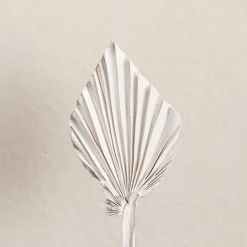 Floral Event Craft Spray Paint Gloss White (340g)