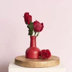 Floral Event Craft Spray Paint Berry Red (340g)