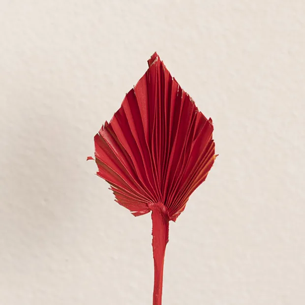 Floral Event Craft Spray Paint Berry Red (340g)