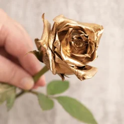 Floral Event Craft Spray Paint Metallic 24KT Pure Gold 340g