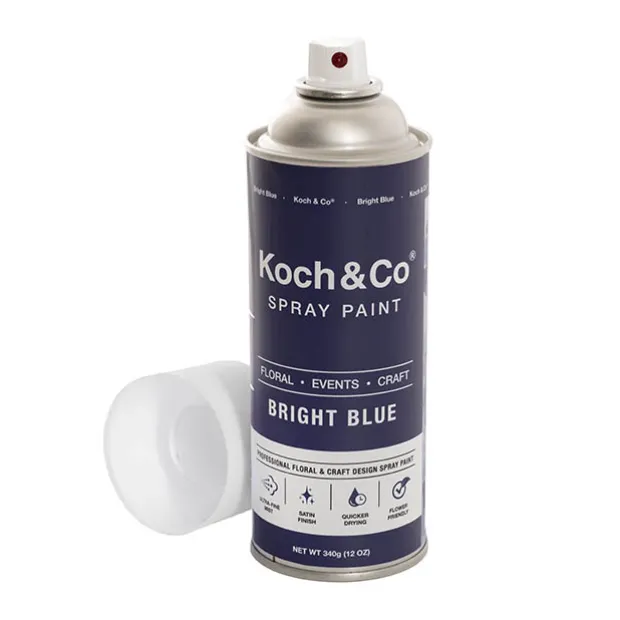 Floral Event Craft Spray Paint Bright Blue (340g)