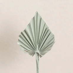 Floral Event Craft Spray Paint Sage (340g)