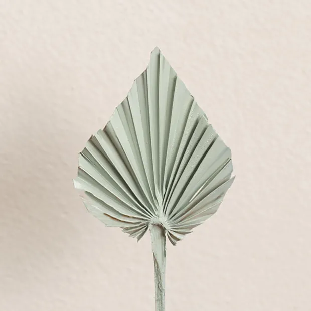 Floral Event Craft Spray Paint Sage (340g)