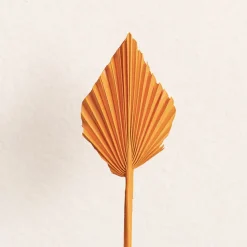 Floral Event Craft Spray Paint Orange (340g)