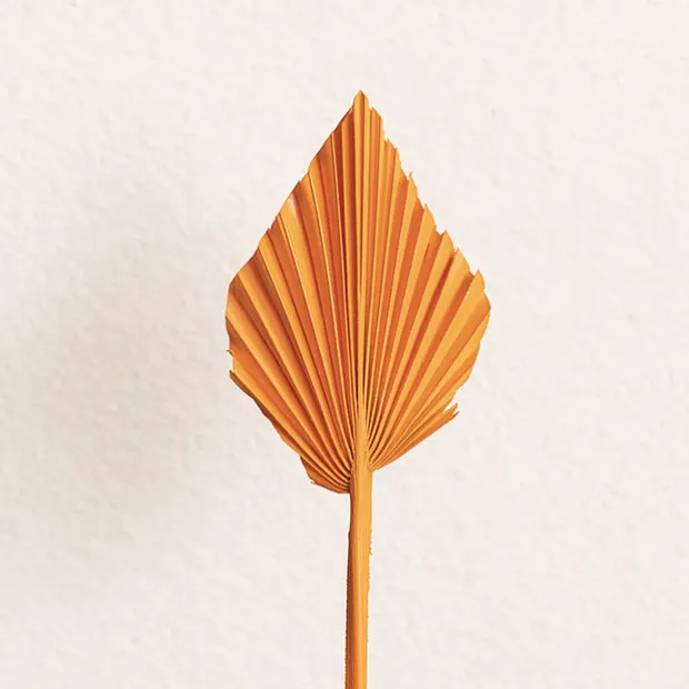 Floral Event Craft Spray Paint Orange (340g)