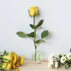 FLOSPAC 5g Sachets Carton 500