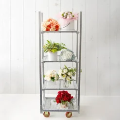 Flower & Plant Trolley Half 3 Mesh Shelf (71.5X56.5x190cmH)