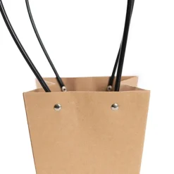 Flower Carry Bag Kraft Brown Small Pk5 (9.5x13x15.5cmH)