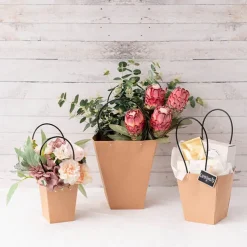 Flower Carry Bag Kraft Brown Medium Pk5 (12x17x20cmH)