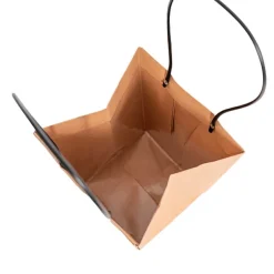 Flower Carry Bag Kraft Brown Medium Pk5 (12x17x20cmH)