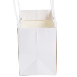 Flower Carry Bag Kraft White Rectangle Pk5 (22x10.5x13cmH)