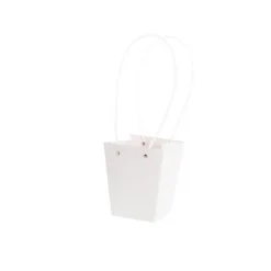 Flower Carry Bag Kraft White Small Pk5 (9.5x13x15.5cmH)