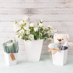 Flower Carry Bag Kraft White Small Pk5 (9.5x13x15.5cmH)