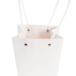 Flower Carry Bag Kraft White Small Pk5 (9.5x13x15.5cmH)