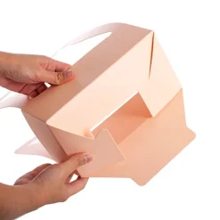 Flower Carry Box Pack 10 Pink (22x11.5x35.5cm)