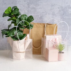 Flower Gift Carry Bag Square Clear Pk5 (25x25x22cmH)