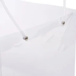 Flower Gift Carry Bag Square Clear Pk5 (25x25x22cmH)