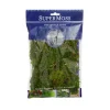 Forest Moss Preserved Bag Moss Fresh Green (55gm Bag)