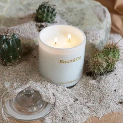 Fragrance Soy Candle Leisure Cactus Blossom (10x14.5cm) 360g