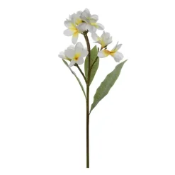 Frangipani Spray x4 Cream Yellow (68cmH)