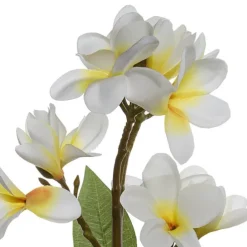 Frangipani Spray x4 Cream Yellow (68cmH)