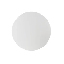 Frosted Acrylic Plates Pack 2 Clear (30cmDx0.03cmH)