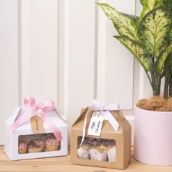 Gable Box With Window Flat Pack Large White(24x13x13Hcm)