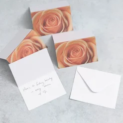 Gallery Gift Card & Envelope Apricot Rose Pk25 (10x6.5cmH)