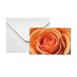 Gallery Gift Card & Envelope Apricot Rose Pk25 (10x6.5cmH)
