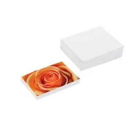 Gallery Gift Card & Envelope Apricot Rose Pk25 (10x6.5cmH)