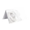 Gallery Gift Card & Envelope White Rose Pk25 (10x6.5cmH)