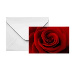 Gallery Gift Card & Envelope Full Red Rose Pk25 (10x6.5cmH)