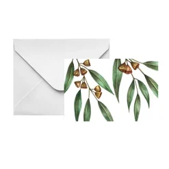 Gallery Gift Card & Envelope Gum Leaves Nuts Pk25(10x6.5cmH)