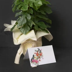 Gallery Gift Card & Envelope Native Birds Pk25 (10x6.5cmH)