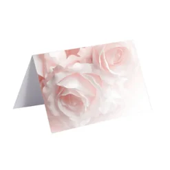 Gallery Gift Card & Envelope Baby Pink Roses Pk25(10x6.5cmH)