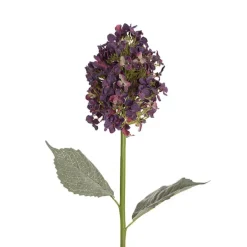 Gatsby Tower Hydrangea Dark Purple (71cmH)