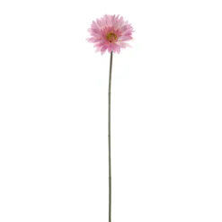 Gerbera Aztec Pink (10cmDx54cmH)
