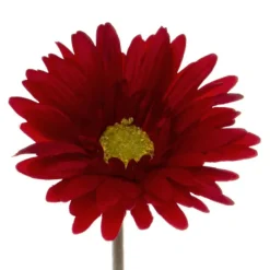 Gerbera Aztec Red (10cmDx54cmH)