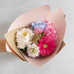 Gerbera Aztec Watermelon (10cmDx54cmH)