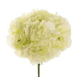 Giant Hydrangea Stem Soft Green (25cmDx54cmH)