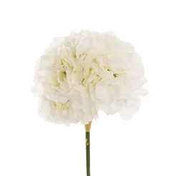 Giant Hydrangea Stem White (25cmDx54cmH)